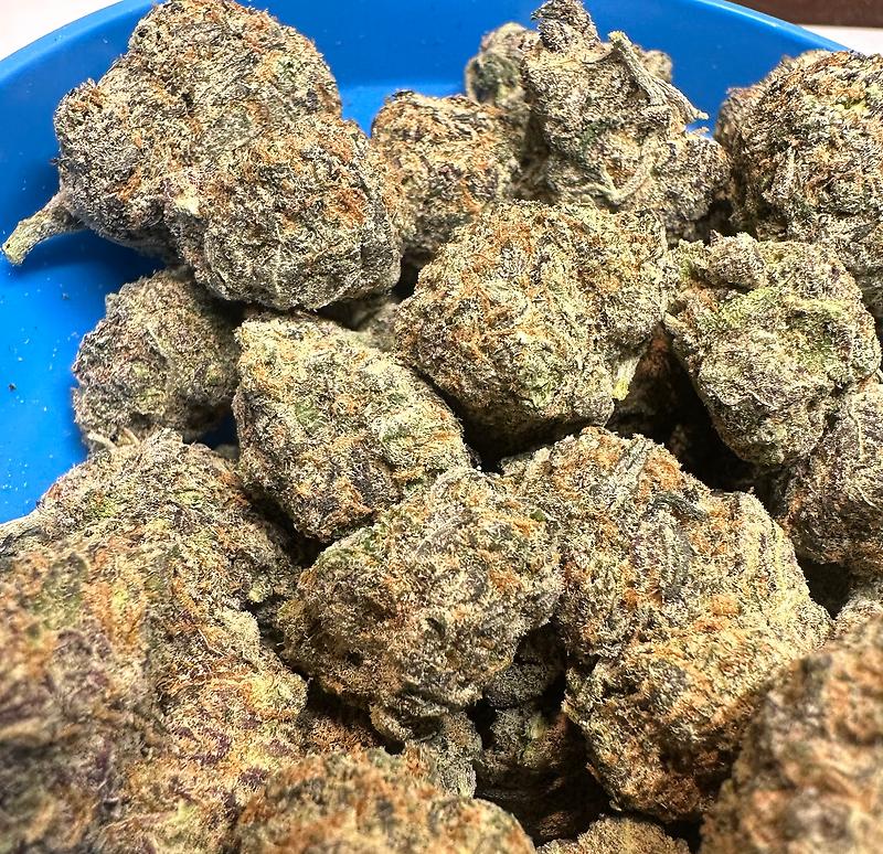 Blueberry Canadian Import