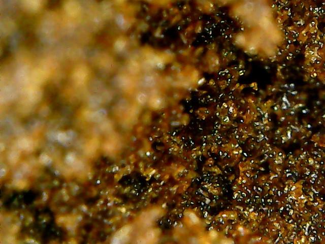 Divine Grade : Morrocan Soft Sticky Pollen (Sativa)