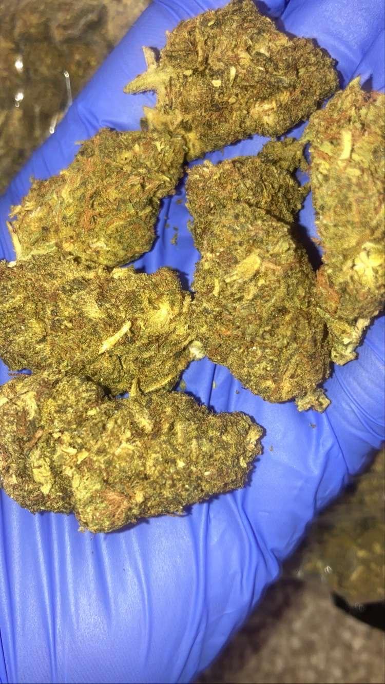 PIE RUNTZ (COST EFFECTIVE)