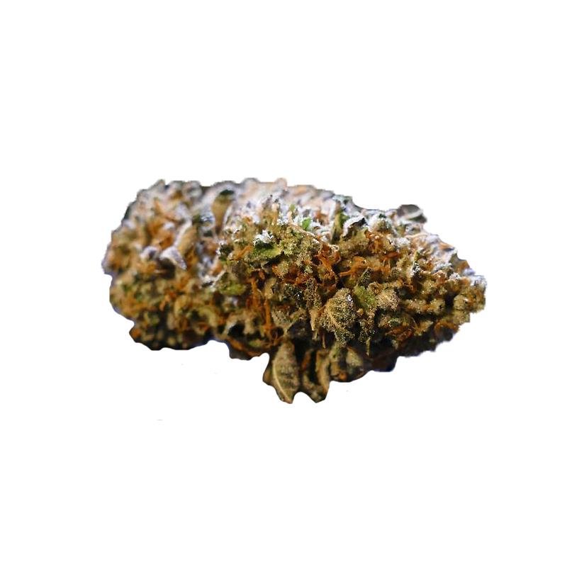 Divine Grade: Gorgeous Stardawg!