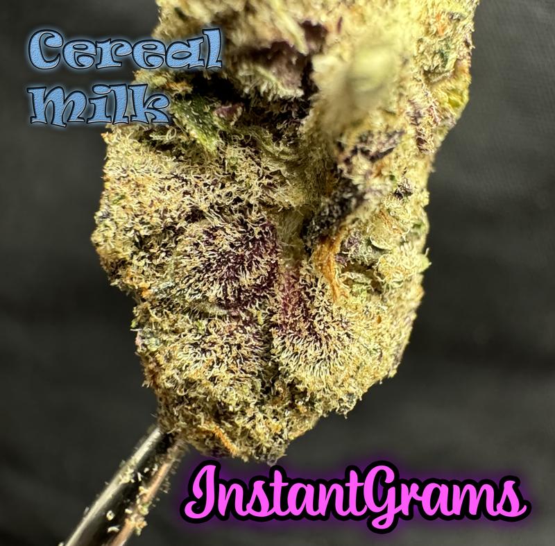 [IMPORT] 🇺🇸 Higher Mids