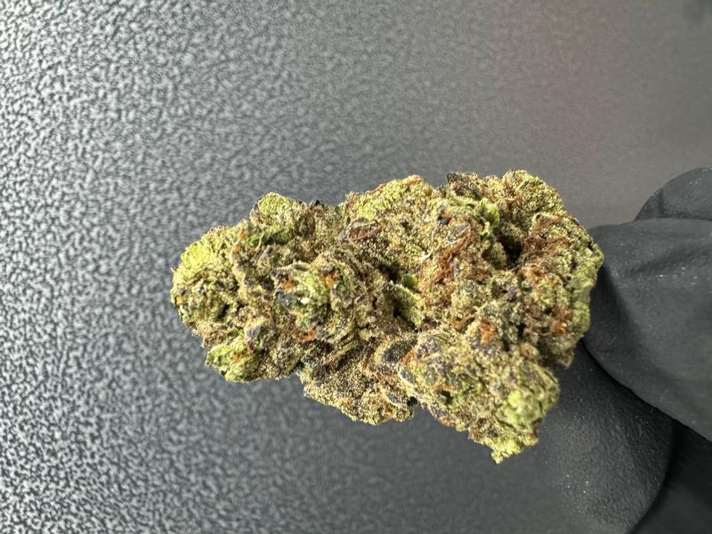 Exclusive Gelato cake