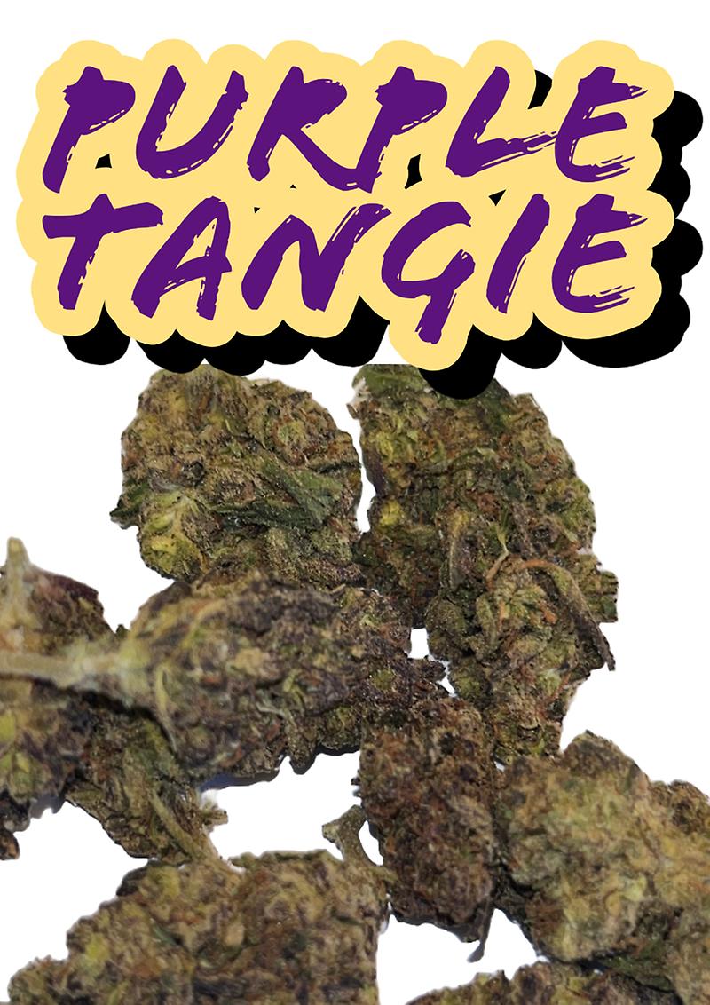 PURPLE TANGIE