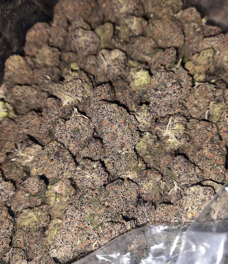 ZOAP X GELATO #41 - USA IMPORT!