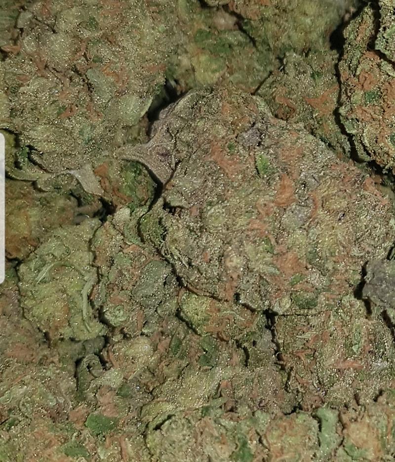 **LEMON ZEST (FREE RM 1ST CLASS POSTAGE)**