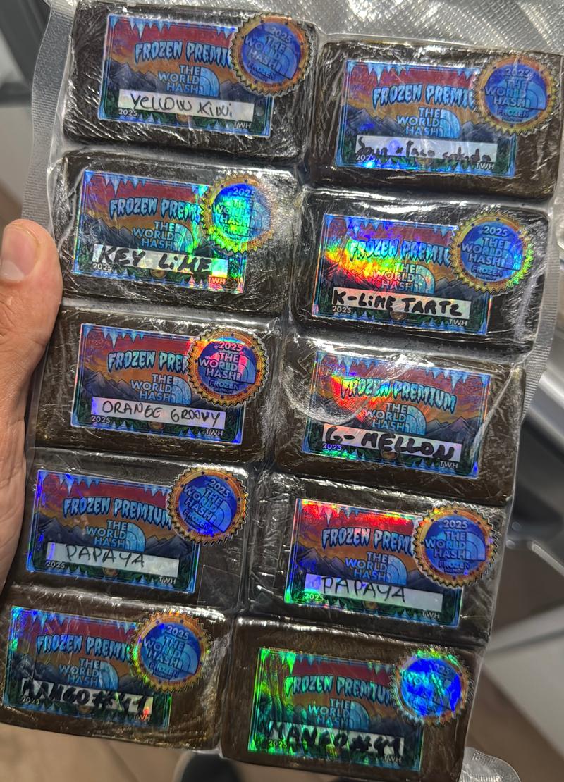 The World Hash Premium 2025