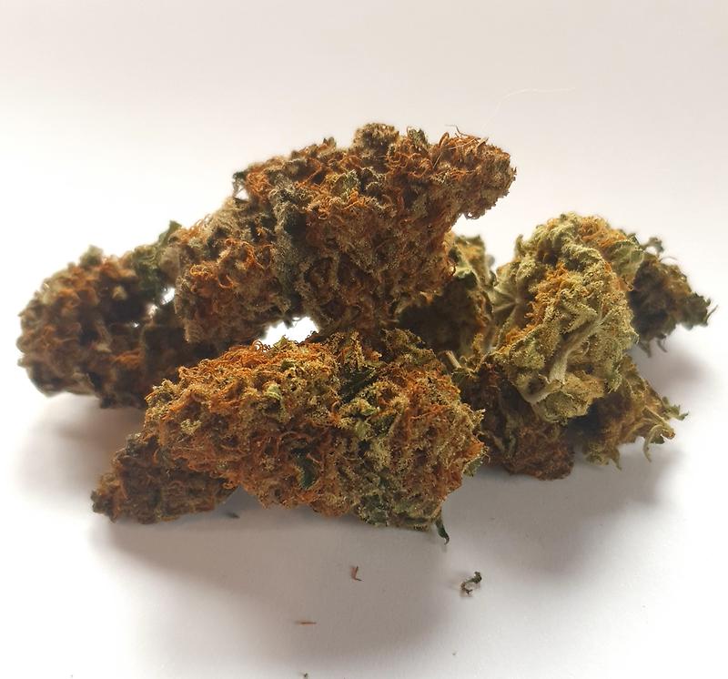 Crane Bag of Gorilla's