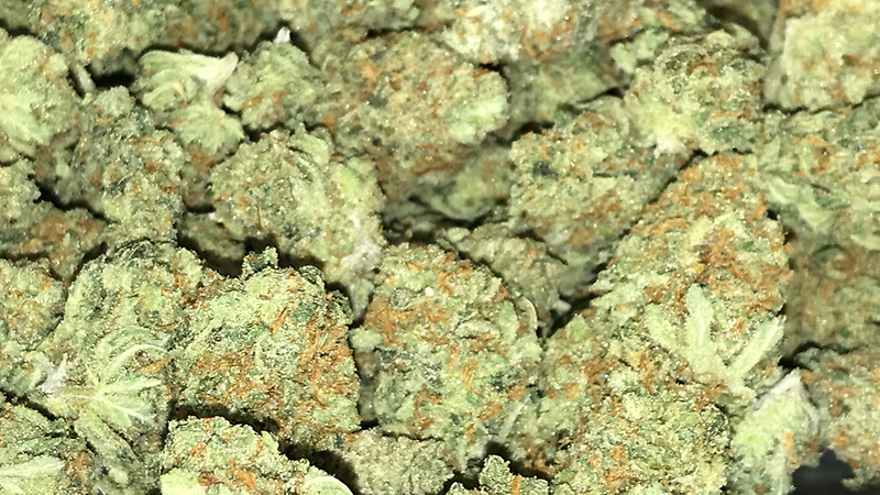 Old school ammy haze