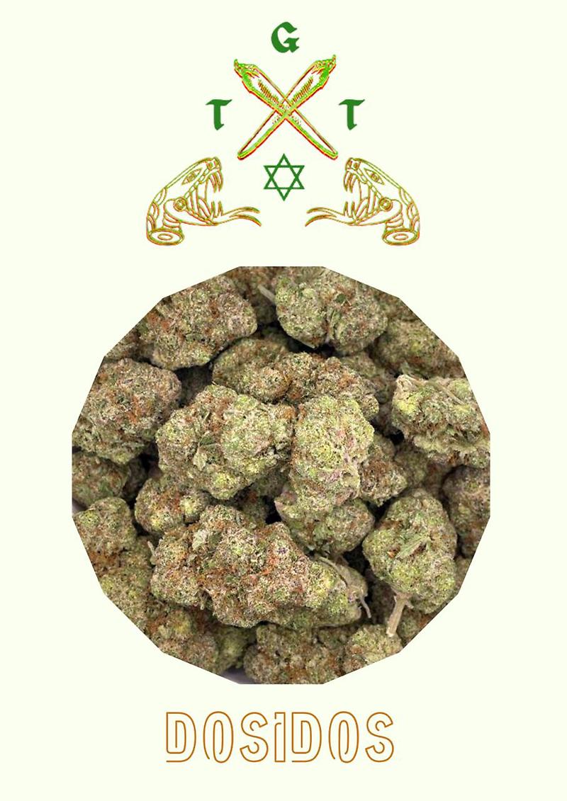 DOSIDOS CALI IMPORT *FREE SHIPPING*