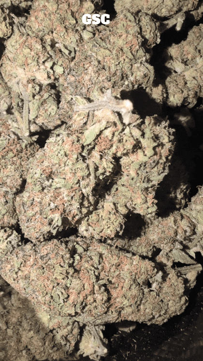 Cali Mids - Loose Import 🇺🇸