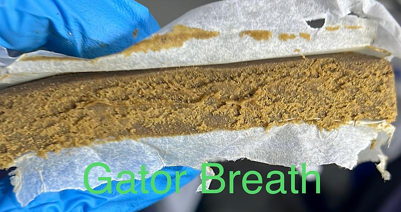 Jungle Boys Cold Cured Pressed Hash