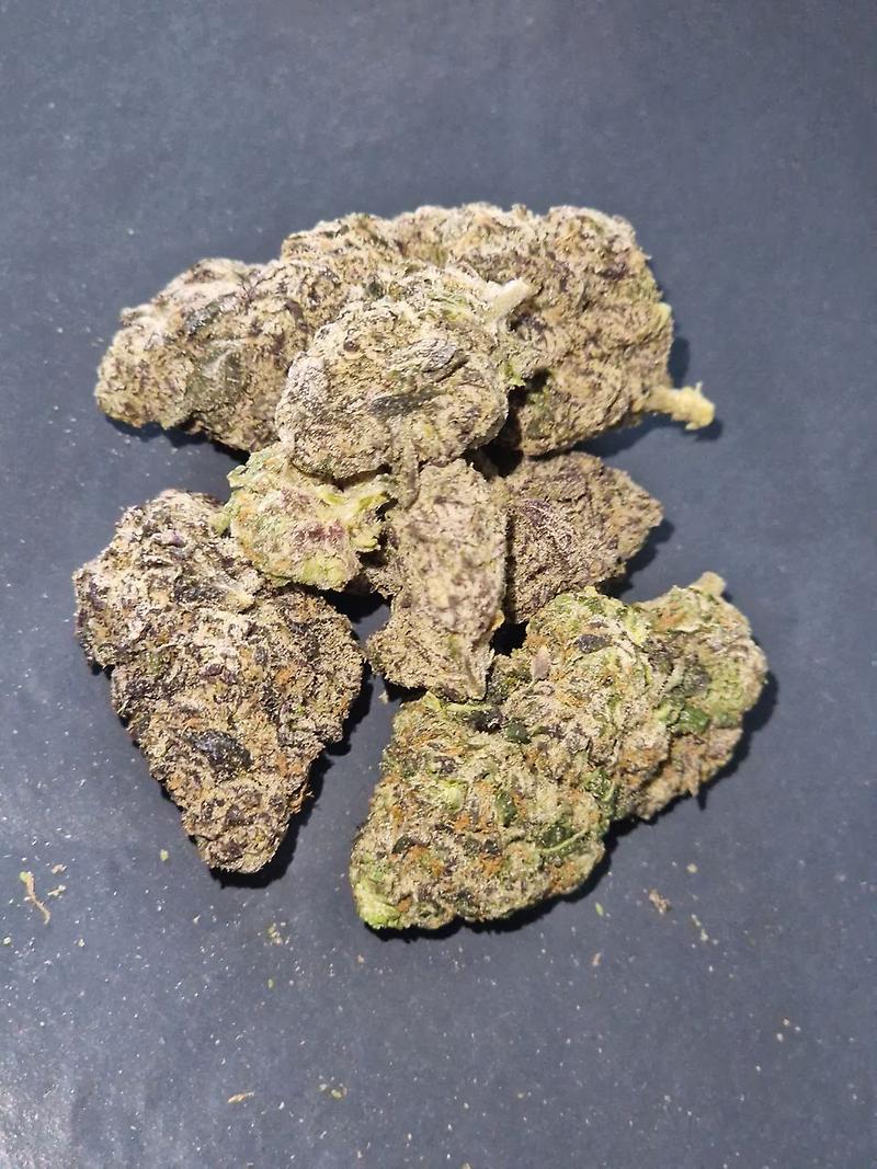 The Ten Co. Tropical Skilatti