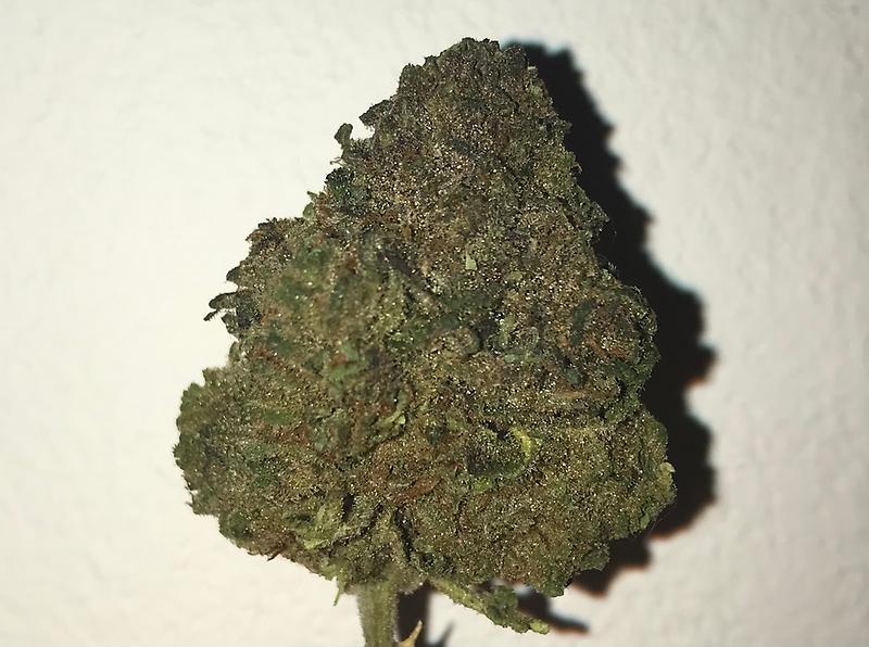 Grandaddy purple