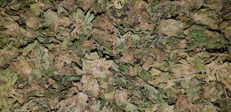 **MIXED STRAIN SHAKE - (FREE RM 1ST CLASS)**