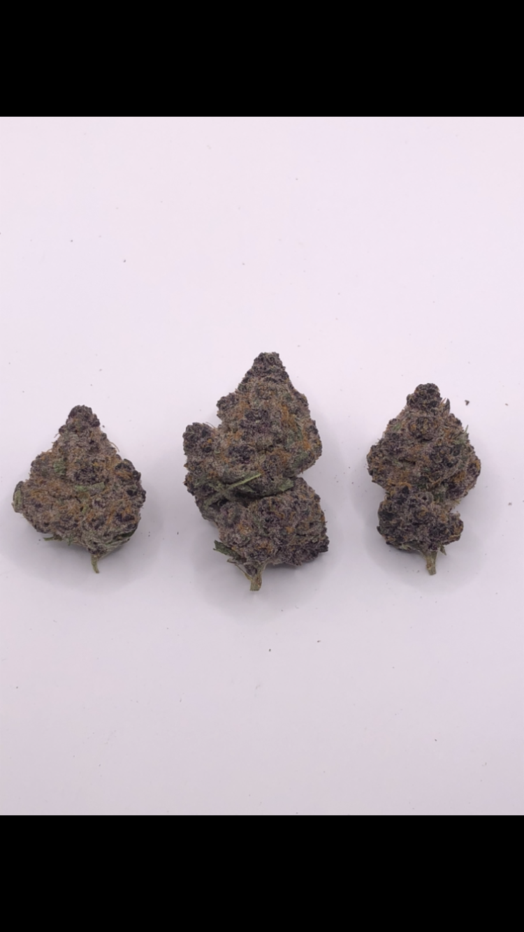 TROPICAL RUNTZ - EXOTIC