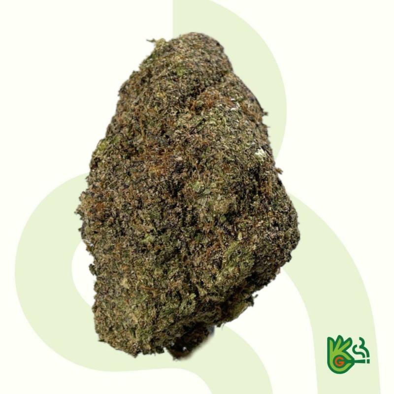 Tomiko Plum Poppers *Free Shipping*