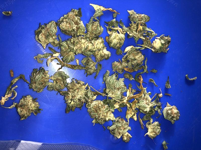 Premium trim/small buds