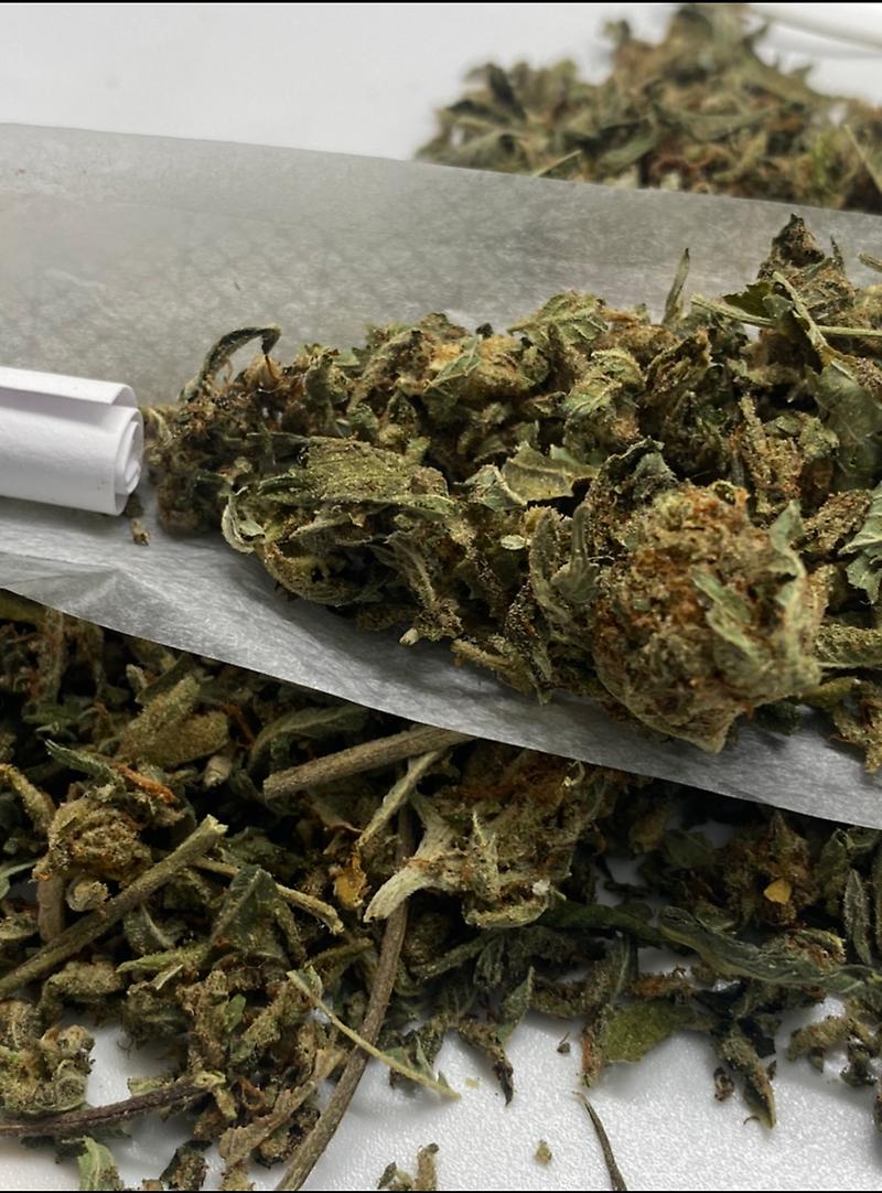 Gassy Dawgs Bollock’s Shake - Ultra Dank