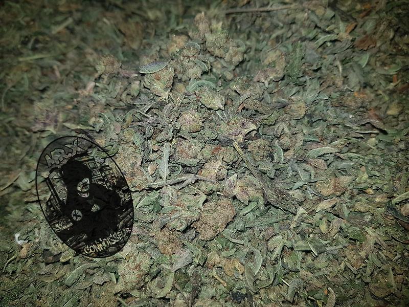 ***OG KUSH BUDSHAKE***