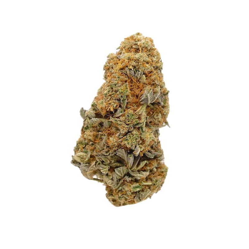 Divine Grade: Gorgeous Stardawg!