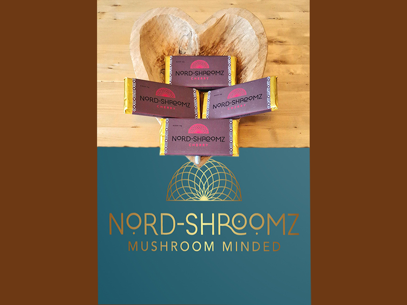 4g Cacao Mushroom Bars