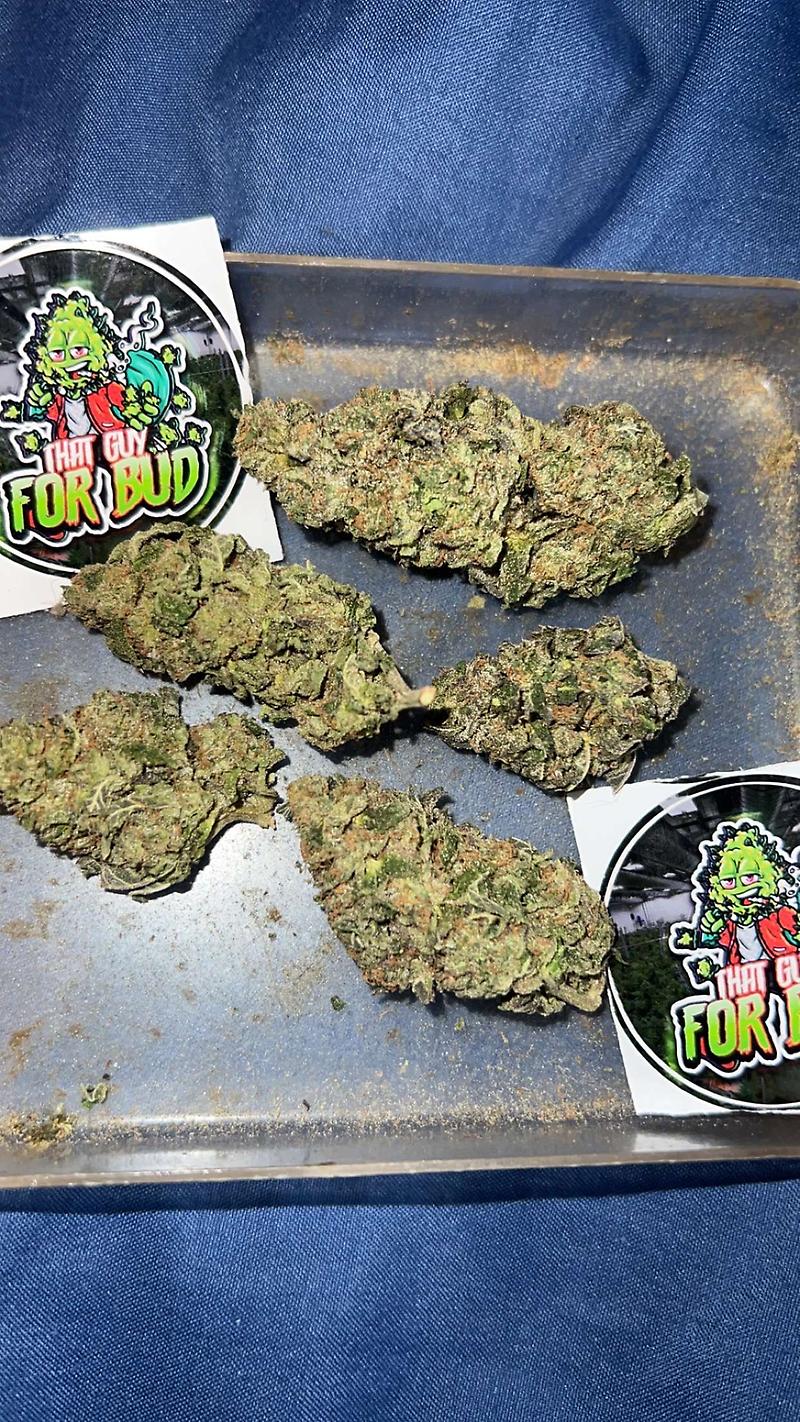 Gelato 33 A++, UK to UK - Good price