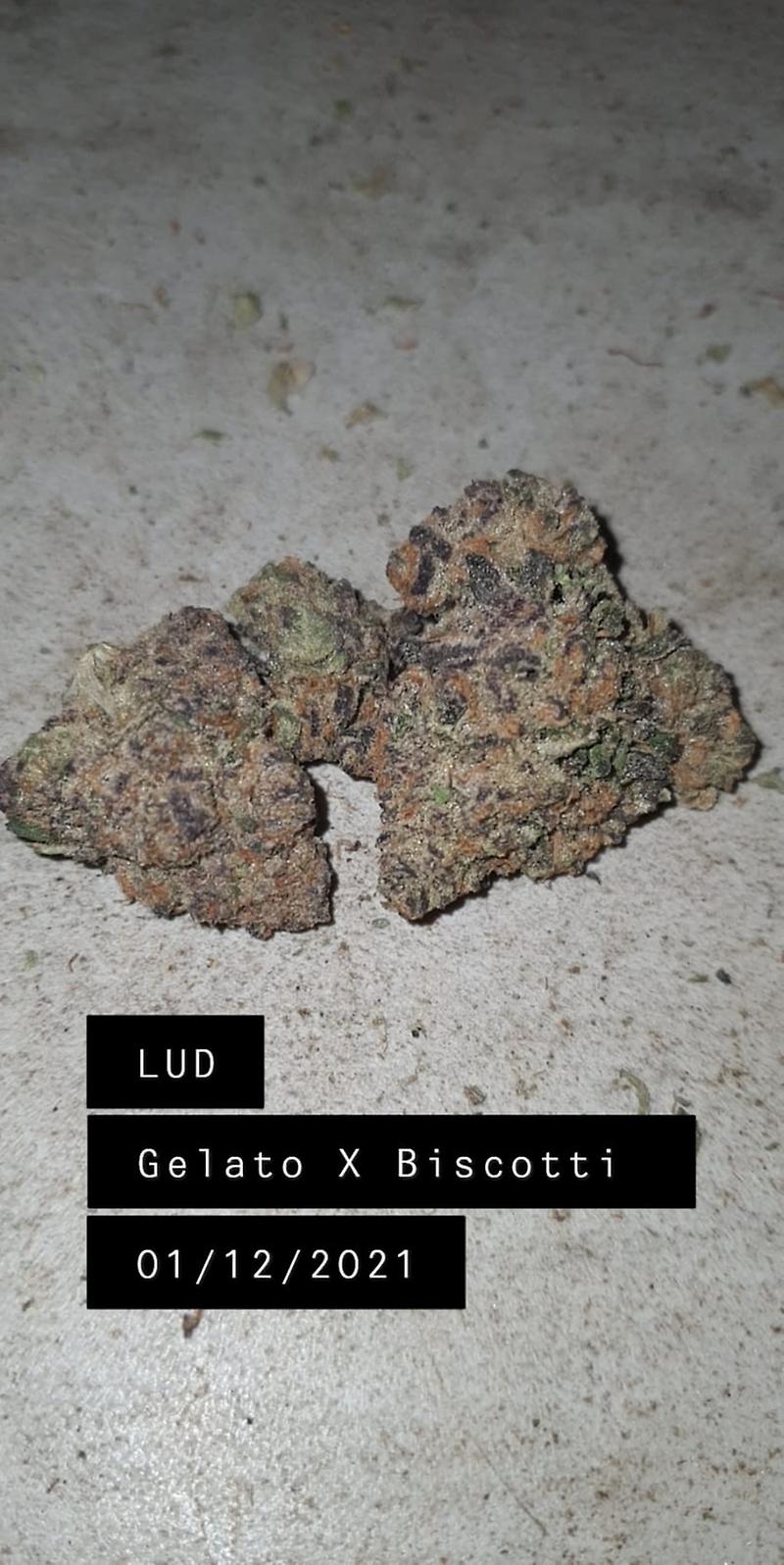 GELATO X BISCOTTI
