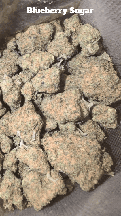 UK TOP SHELF SMALL BATCH🇬🇧 PGR FREE/ORGANIC