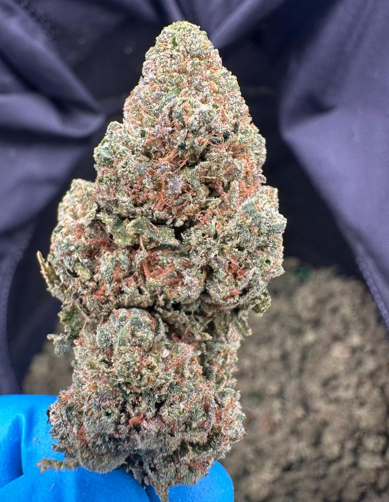 Blue Sunset Sherbet