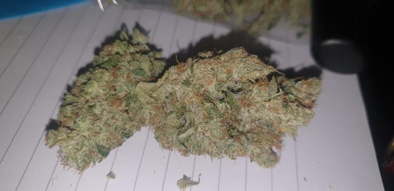 Bola Mintz - RozzyGrown