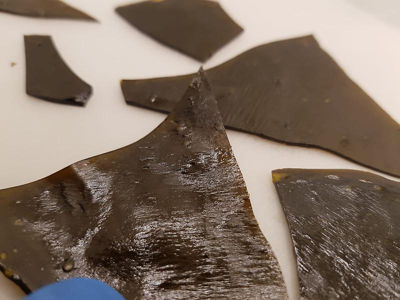 Amnesia Haze Shatter Wax