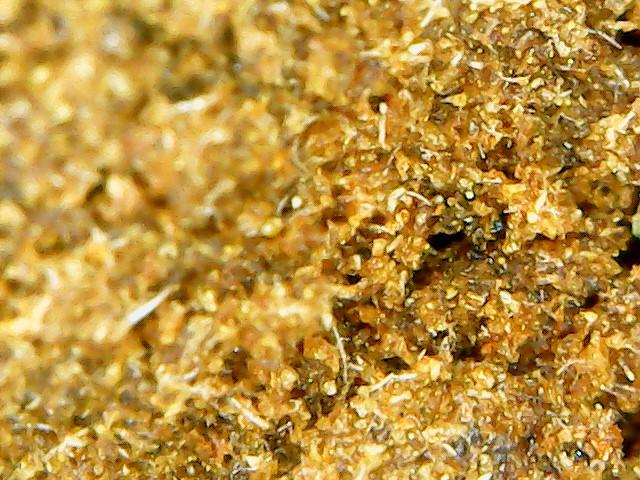 Holy Grade: Spicy Menthol Smooth Clean Morrocan Hashish