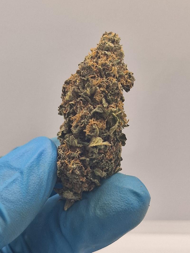 Absolutely Dank UK Grown Biscotti - Crazy Terps