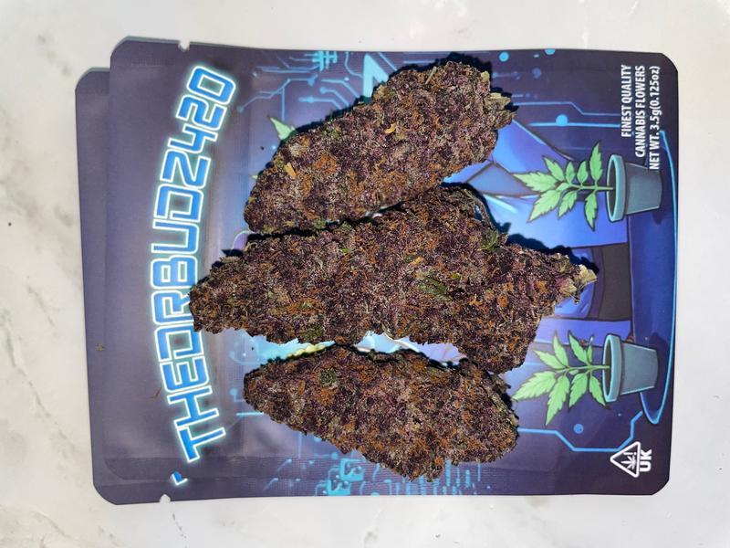 Colorado Nightshifter