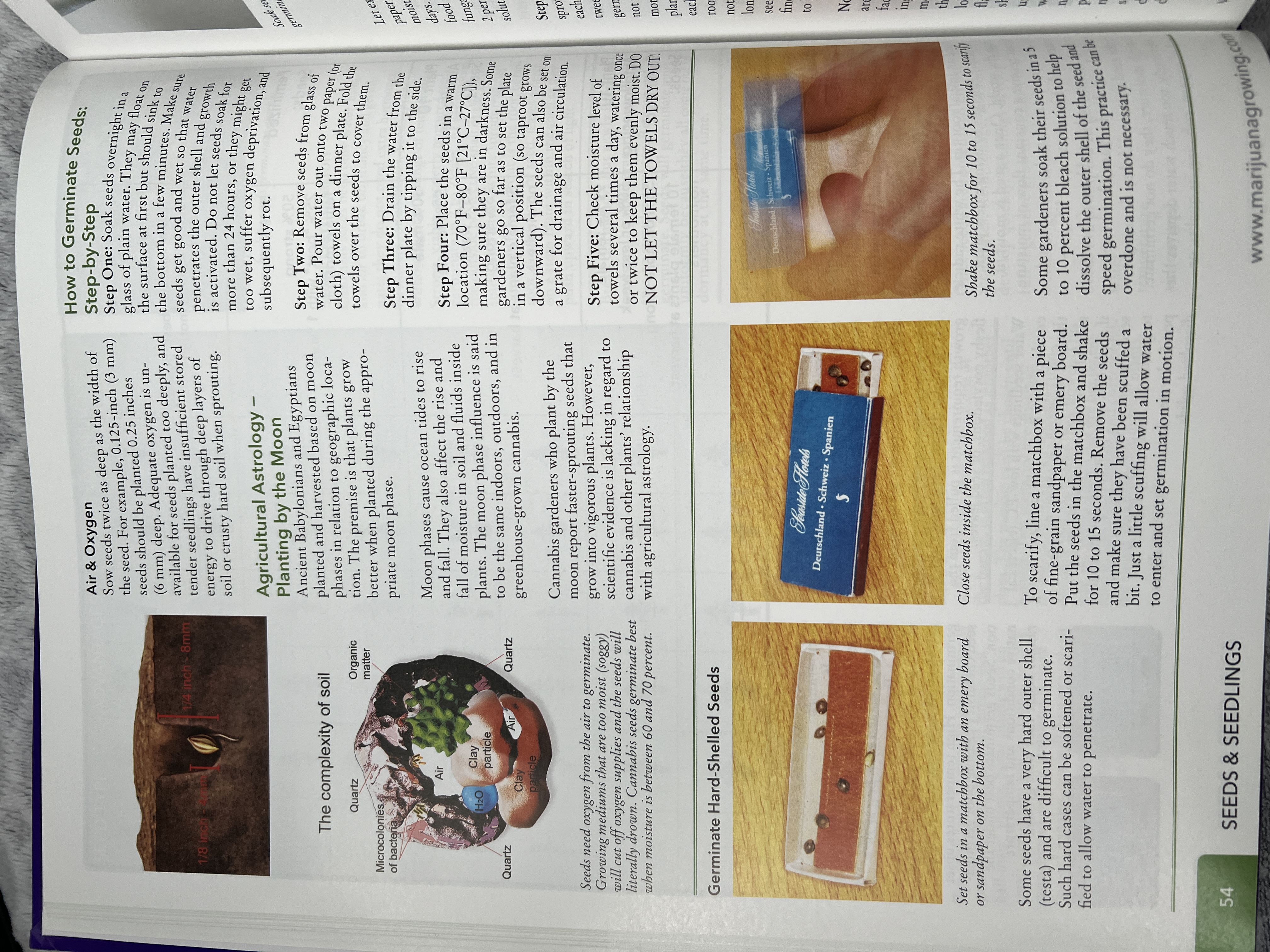 The Cannabis Encyclopaedia by J.C