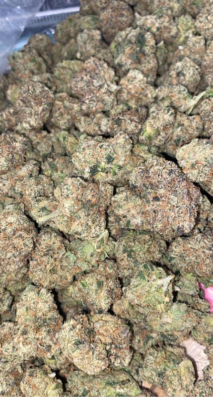 SUNSET RUNTZ - CALI MIDS