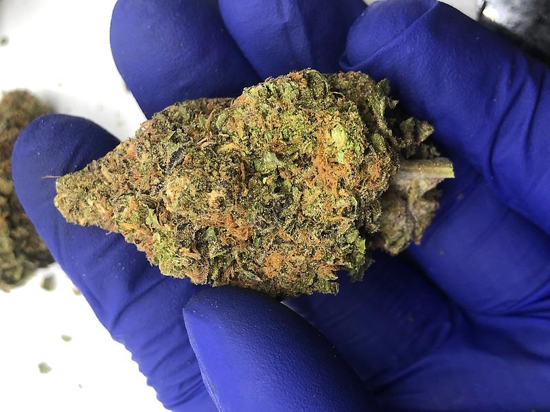 Premium Flower Listing A+ Read Description for Strains