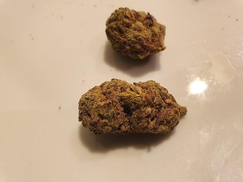 Mac 1 X (Mac 1x bannan of)