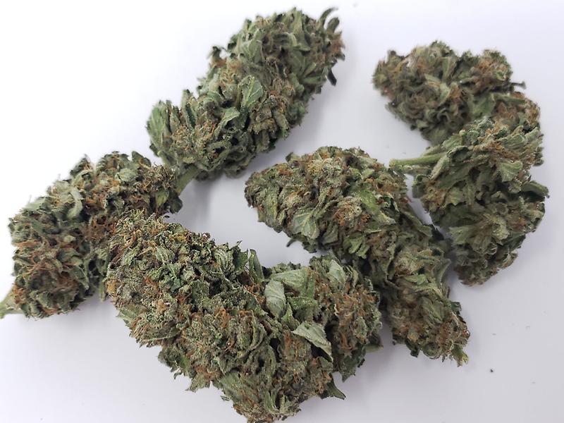 Organic Outdoor Cannabis - mixed stranis