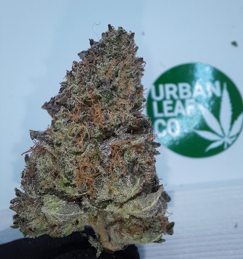 **SLURRICANE - (FREE RM 1ST CLASS DISPATCH)**