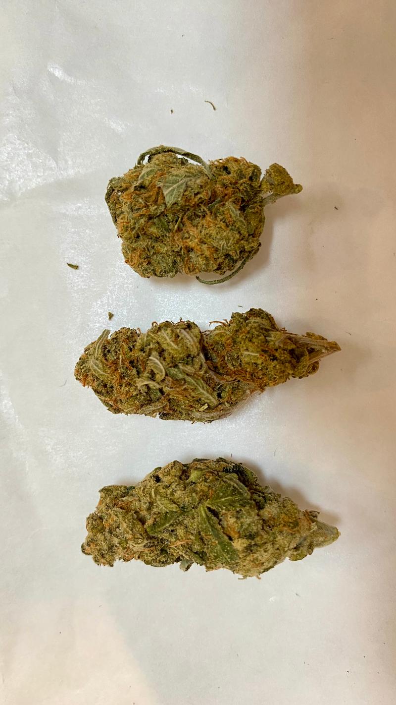 Organic Living Soil Indoor Amnesia Lemon Special Offer