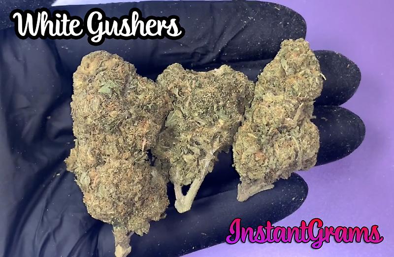 INSTANT Outdoor Cali Buds