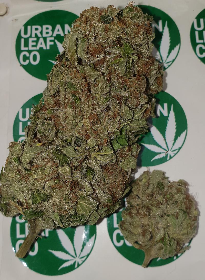 **GREASE MONKEY - (FREE RM 1ST CLASS DISPATCH)**