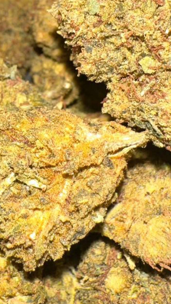 PIE RUNTZ (COST EFFECTIVE)