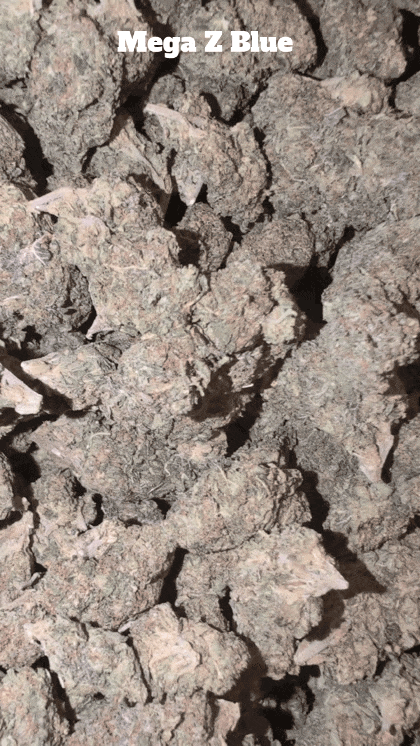 Cali Mids - Loose Import 🇺🇸