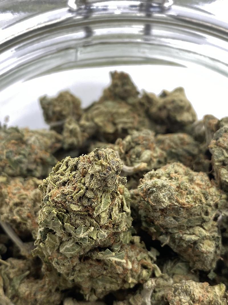 SOUR POISON (SATIVA)