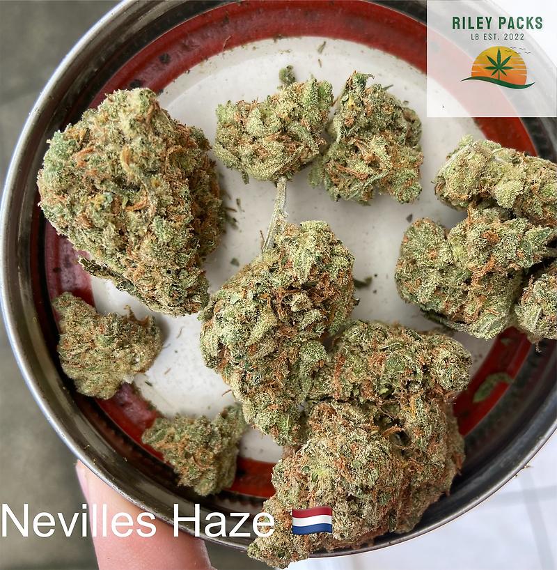 Super lemon haze (Lemon skunk x Super silver haze)