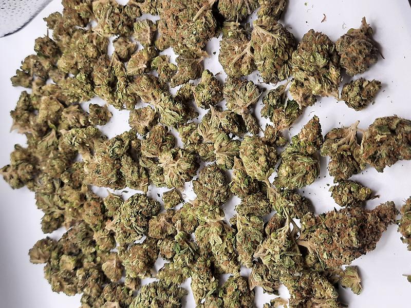 **B-GRADE HEADBAND - (FREE RM 1ST CLASS DISPATCH)**