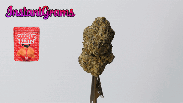 INSTANT Top Shelf Cali