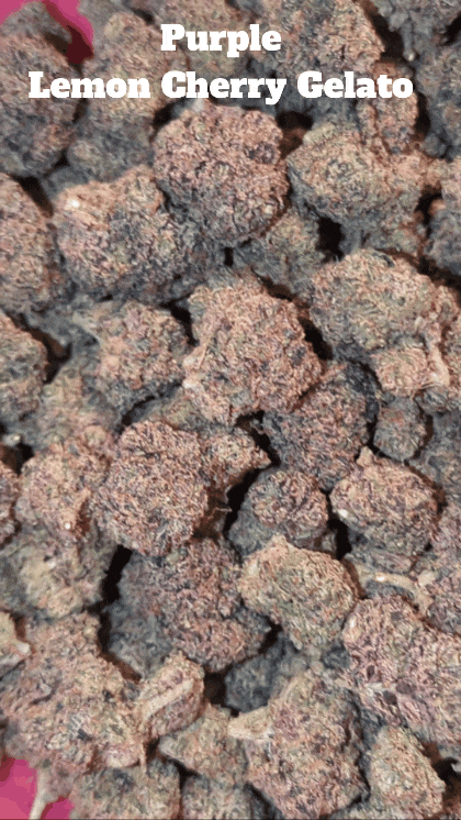 Top Shelf Exotics - Imported Loose Flower